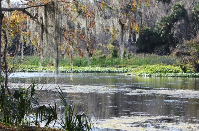 Lower Wekiva River Preserve State Park, Florida, USA